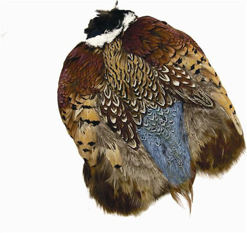 Wapsi Ringneck Pheasant Skin Natural Cock - The TroutFitter Fly Shop 