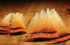 Golden Pheasant Tippets - The TroutFitter Fly Shop 