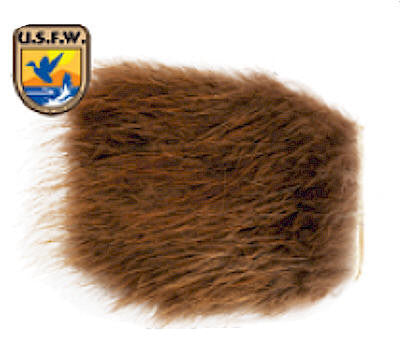 Beaver Fur - The TroutFitter Fly Shop 