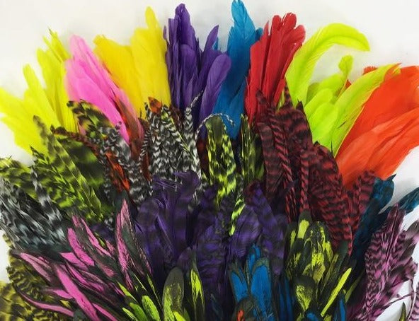 Rooster Tail Feathers 6-10" Bundle