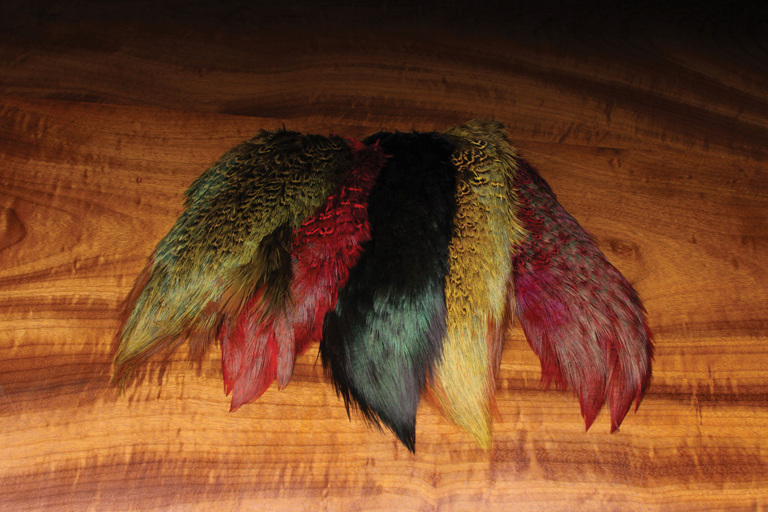 Ringneck Pheasant Rump Patch - The TroutFitter Fly Shop 